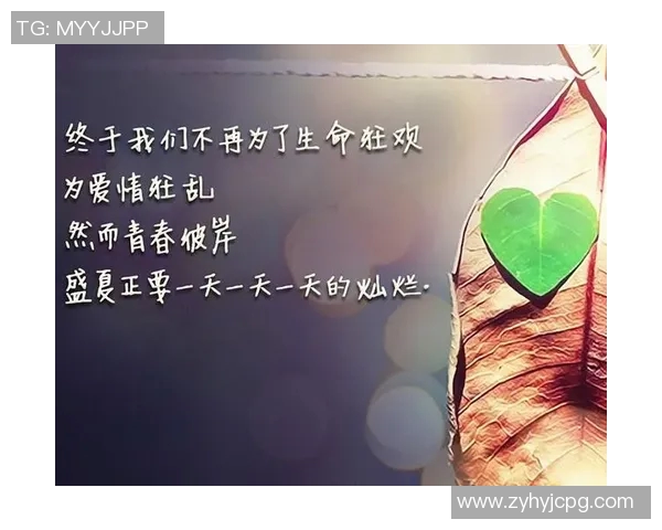 篮球明星拍照墙见证荣耀时刻与青春回忆的完美结合